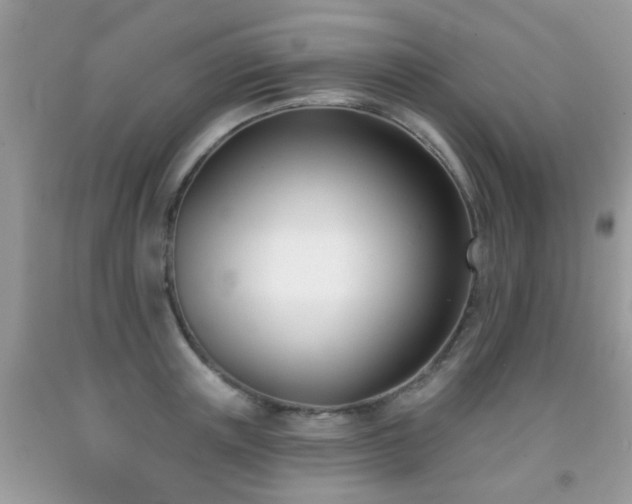 X0000091990851200709061417