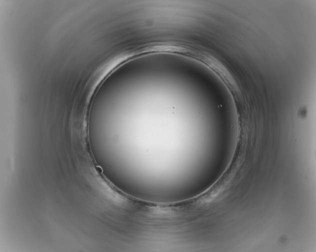 X0000091990852200709061417
