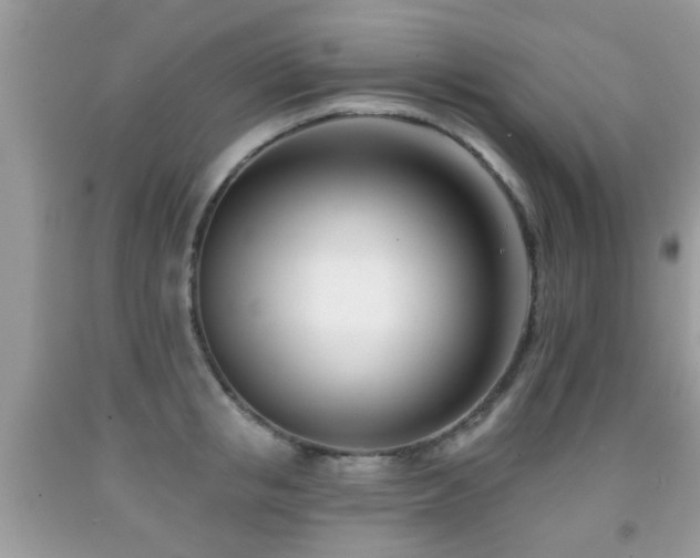 X0000091990853200709061417
