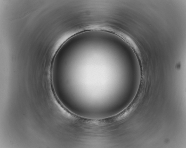 X0000091990855200709061417
