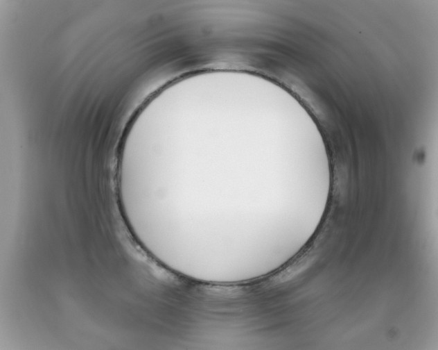 X0000091990856200709061417