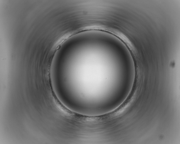 X0000091990857200709061417