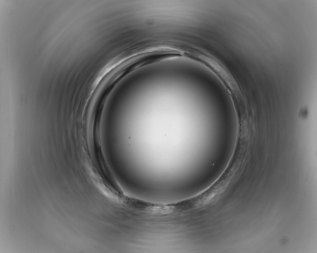 X0000091990858200709061417