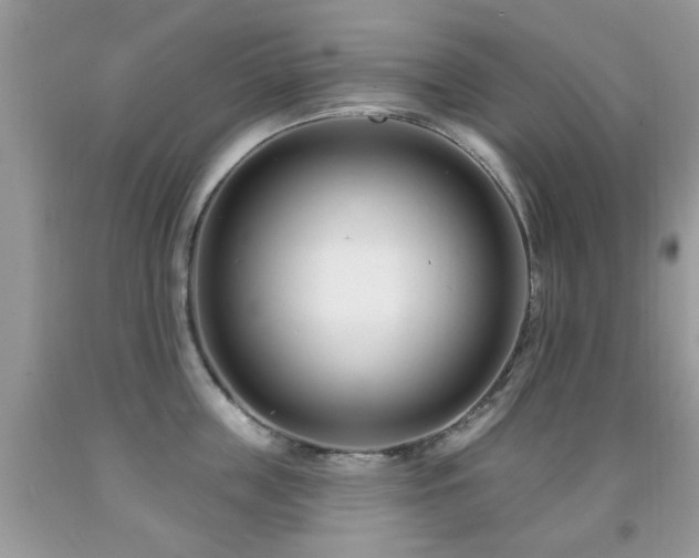 X0000091990859200709061417