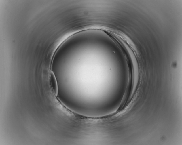 X0000091990860200709061417