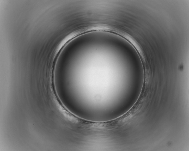 X0000091990861200709061417