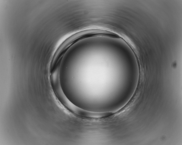 X0000091990862200709061417