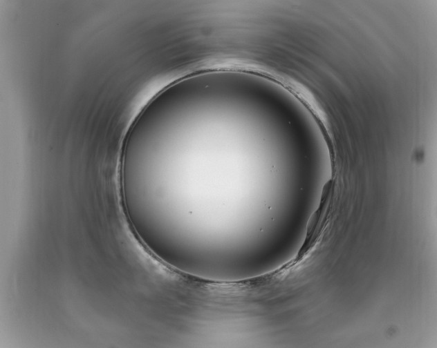 X0000091990863200709061417