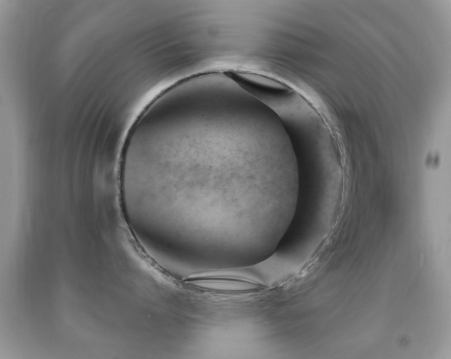 X0000091990864200709061417