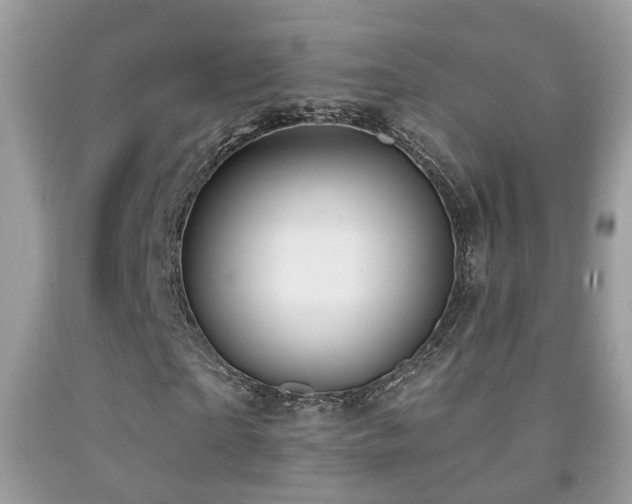 X0000091990865200709061416