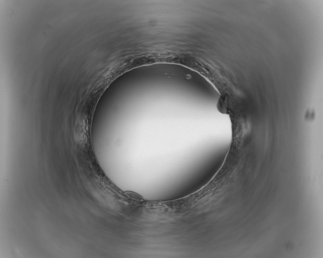 X0000091990866200709061416