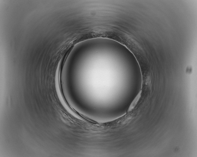 X0000091990868200709061416