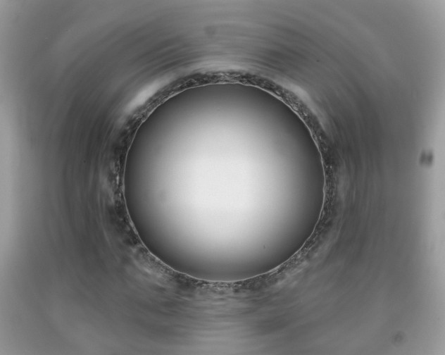 X0000091990871200709061416