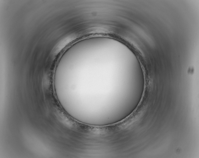 X0000091990874200709061416
