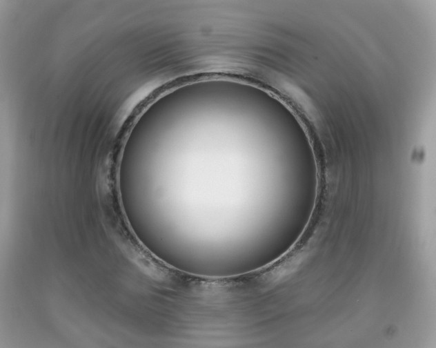 X0000091990875200709061416