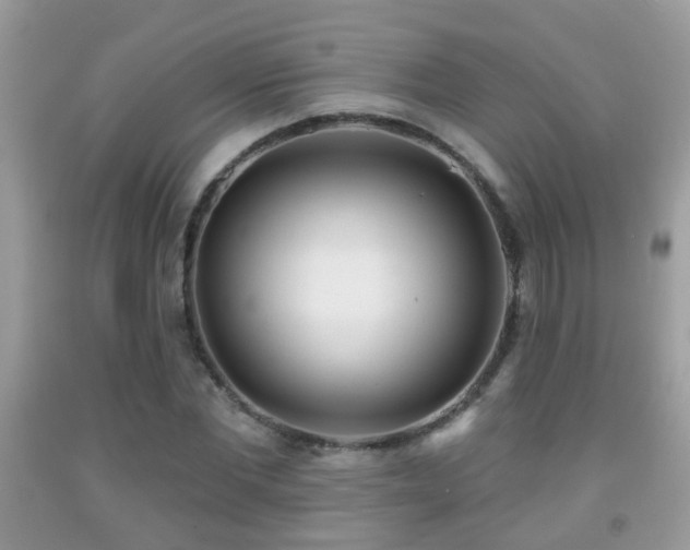 X0000091990877200709061416