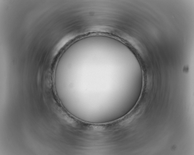 X0000091990878200709061416