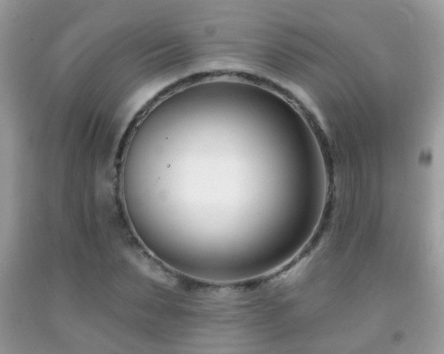 X0000091990879200709061416