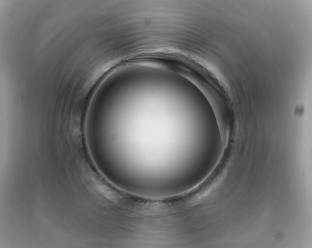 X0000091990881200709061416