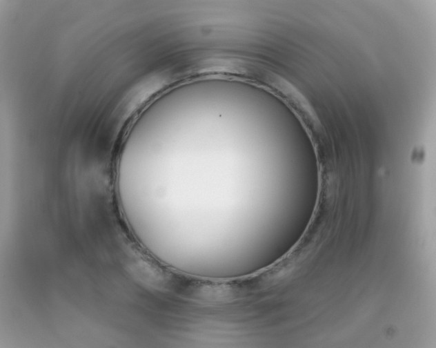 X0000091990882200709061416
