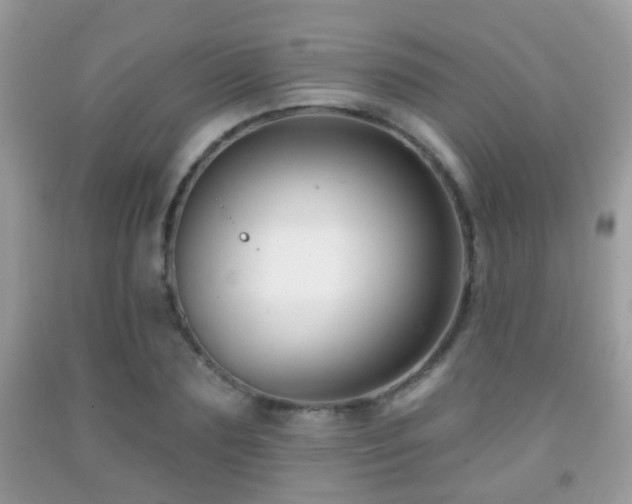 X0000091990883200709061416