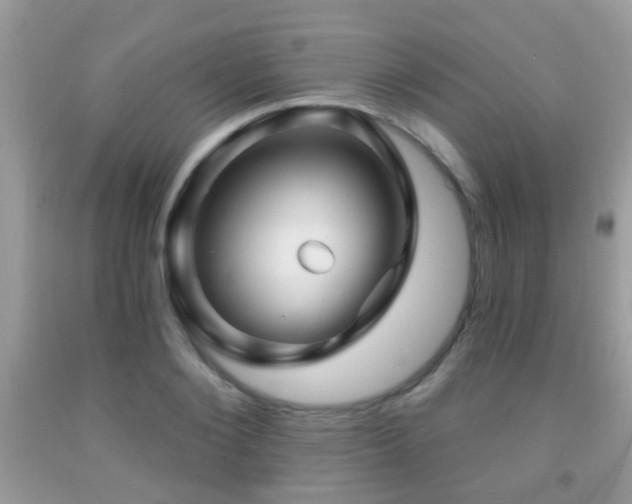 X0000091990884200709061416