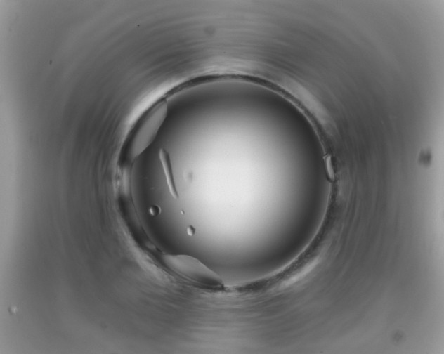 X0000091990885200709061416