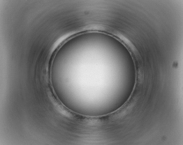 X0000091990886200709061416