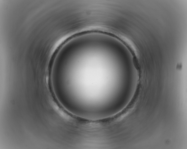 X0000091990888200709061416