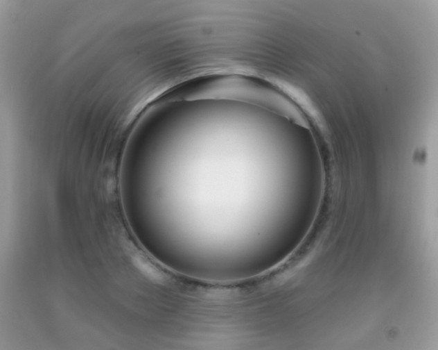 X0000091990889200709061416