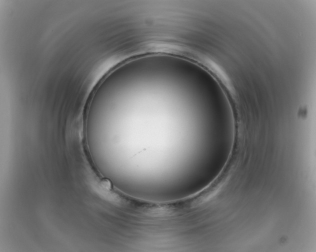 X0000091990891200709061416