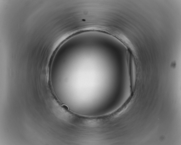 X0000091990892200709061416