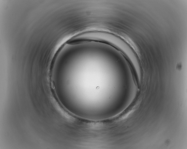 X0000091990893200709061416