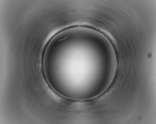 X0000091990894200709061416