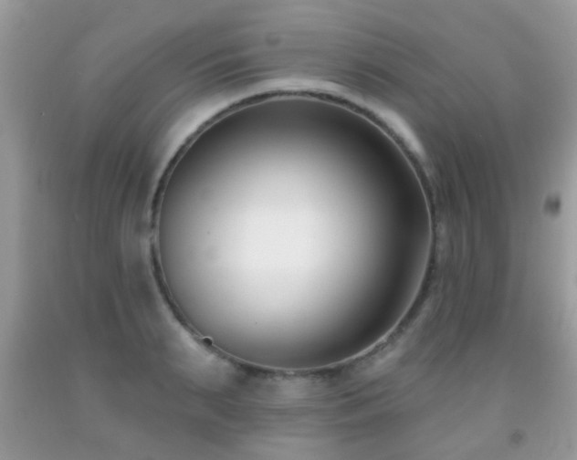 X0000091990895200709061416