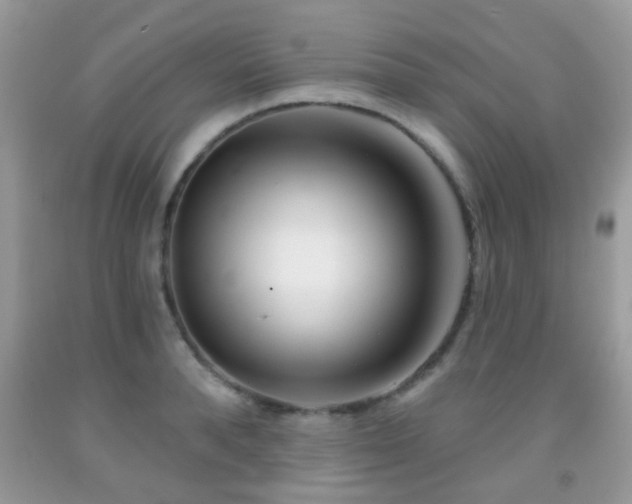 X0000091990896200709061416