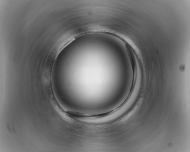 X0000091990897200709061416