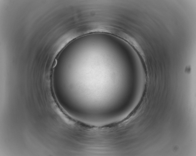 X0000091990898200709061416