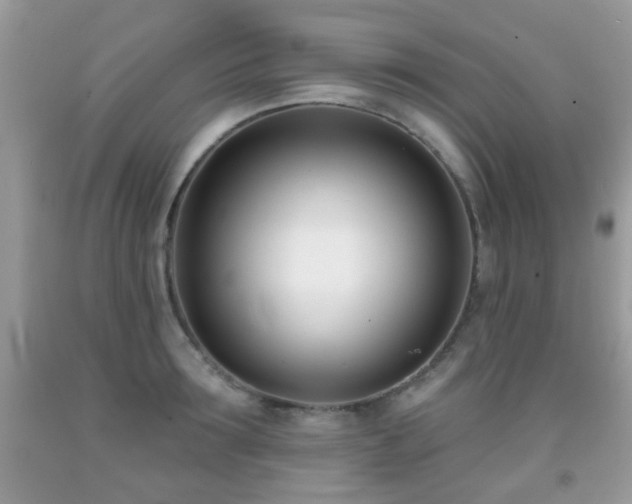 X0000091990899200709061416