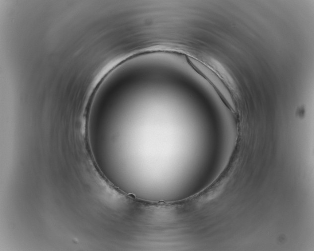 X0000091990900200709061416