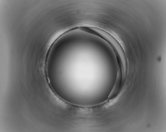 X0000091990901200709061416