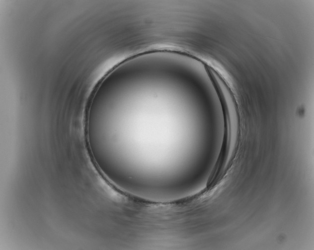 X0000091990902200709061416