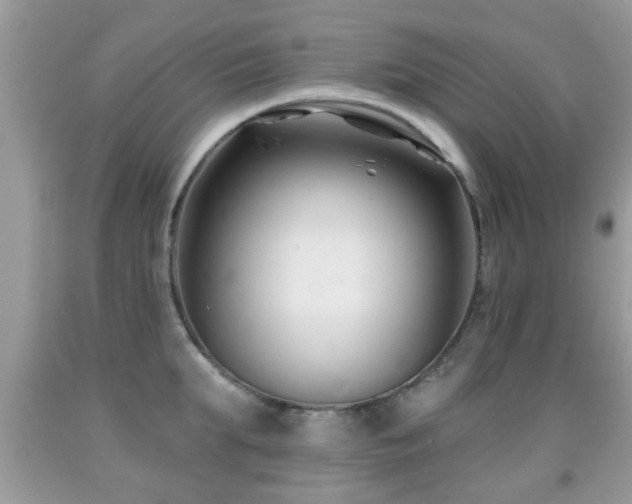 X0000091990903200709061416