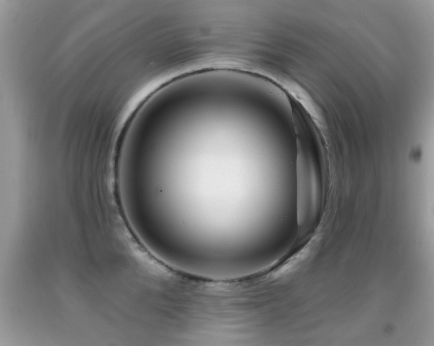 X0000091990904200709061416