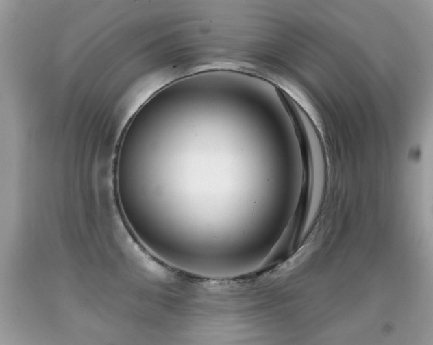X0000091990906200709061416