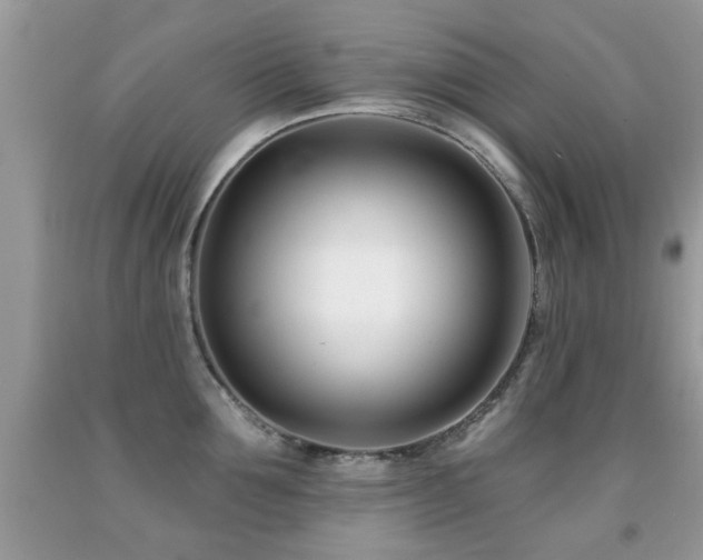 X0000091990907200709061416