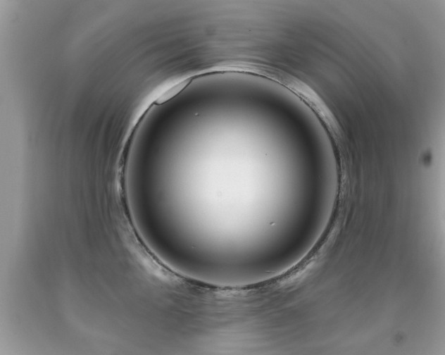 X0000091990908200709061416