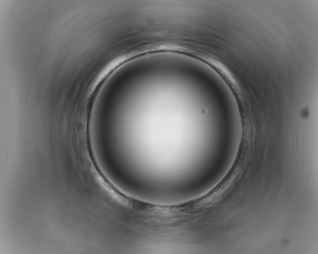 X0000091990910200709061416