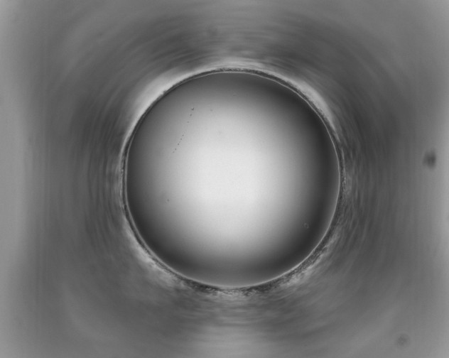 X0000091990911200709061416