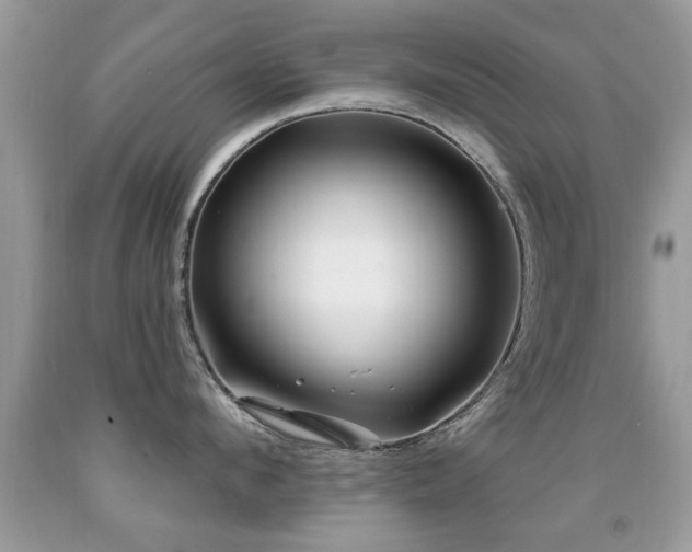 X0000091990912200709061416